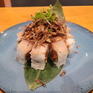 TR1-ALBACORE LOVER