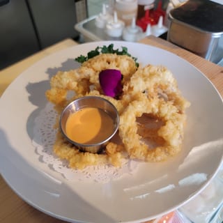 SD9-ONION RINGS